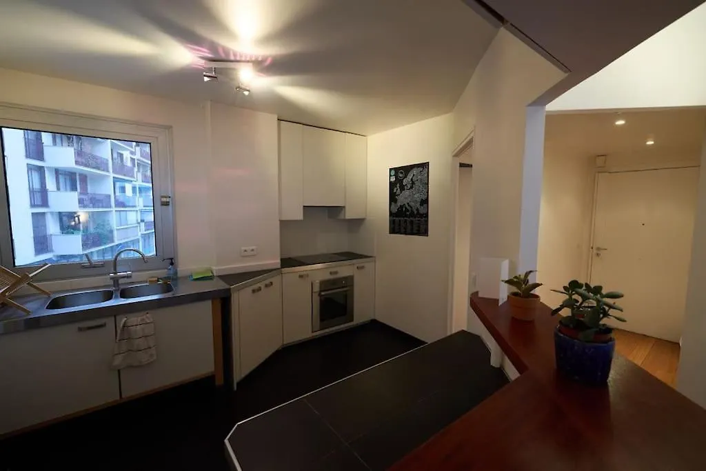 Luxury Centric Flat In Paris Daire